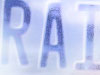 RAINKING