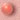 bullet